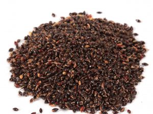 15-CORN-BLACK-SWEET-SEEDS-scaled 15-CORN-BLACK-SWEET-SEEDS-scaled