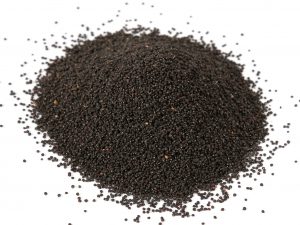 26-PORTULACA-ALERACEA-SEEDS-scaled 26-PORTULACA-ALERACEA-SEEDS-scaled