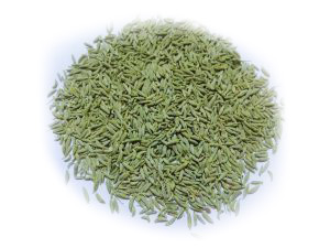 1-FENNEL-SEEDS-300x225-white 1-FENNEL-SEEDS-300x225-white