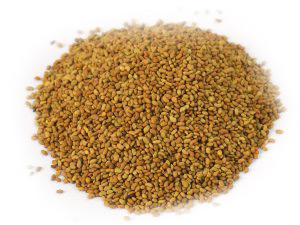 11-ALFALFA-SEEDS-scaled-1-300x225-white 11-ALFALFA-SEEDS-scaled-1-300x225-white