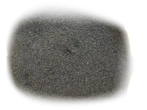 12-BASIL-SEEDS-300x225-white 12-BASIL-SEEDS-300x225-white