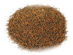 24-CROQUETTE-SEEDS-scaled-1-300x225-white 24-CROQUETTE-SEEDS-scaled-1-300x225-white