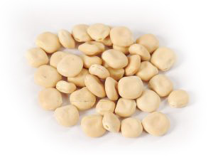 3-DRIED-SWEET-LUPINE-scaled-1-300x225-whit 3-DRIED-SWEET-LUPINE-scaled-1-300x225-whit