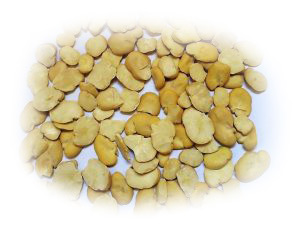 6-DRIED-SPLIT-BROAD-BEANS-300x225-white 6-DRIED-SPLIT-BROAD-BEANS-300x225-white